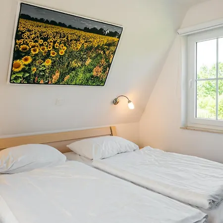 Сasa de vacaciones B 3 Reethaus Albatros *